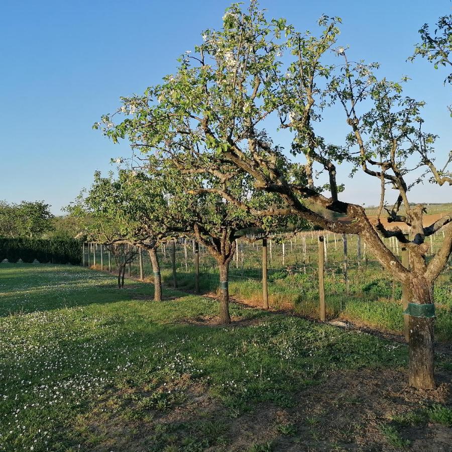 Le Marronnier Daire Saint-Vincent-de-Pertignas Dış mekan fotoğraf